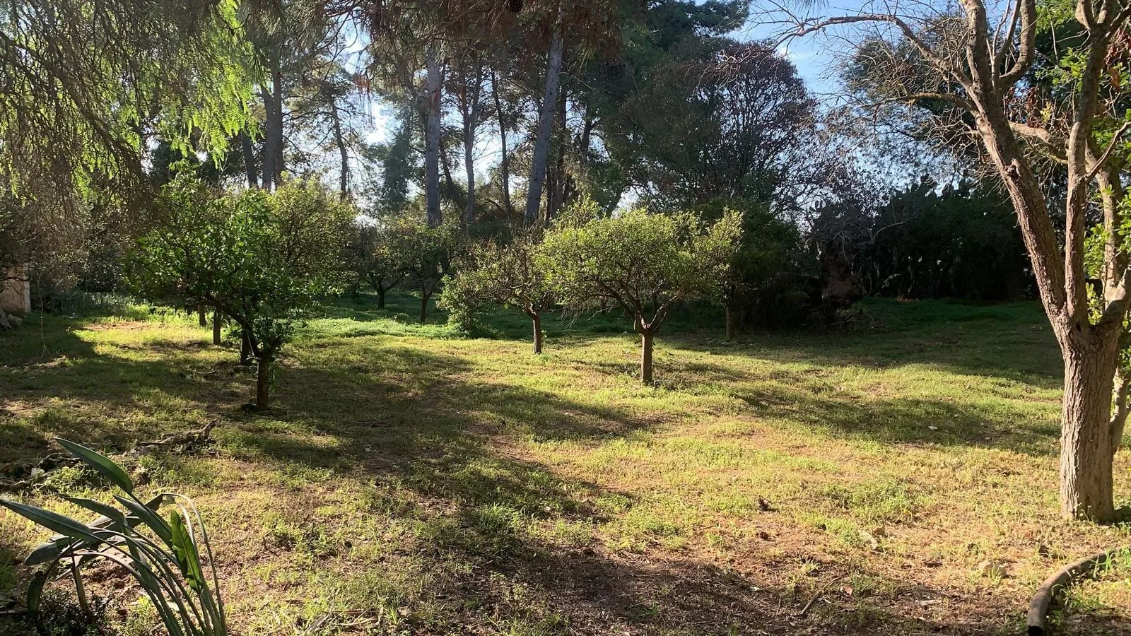 Villetta — Foto 2 di 19