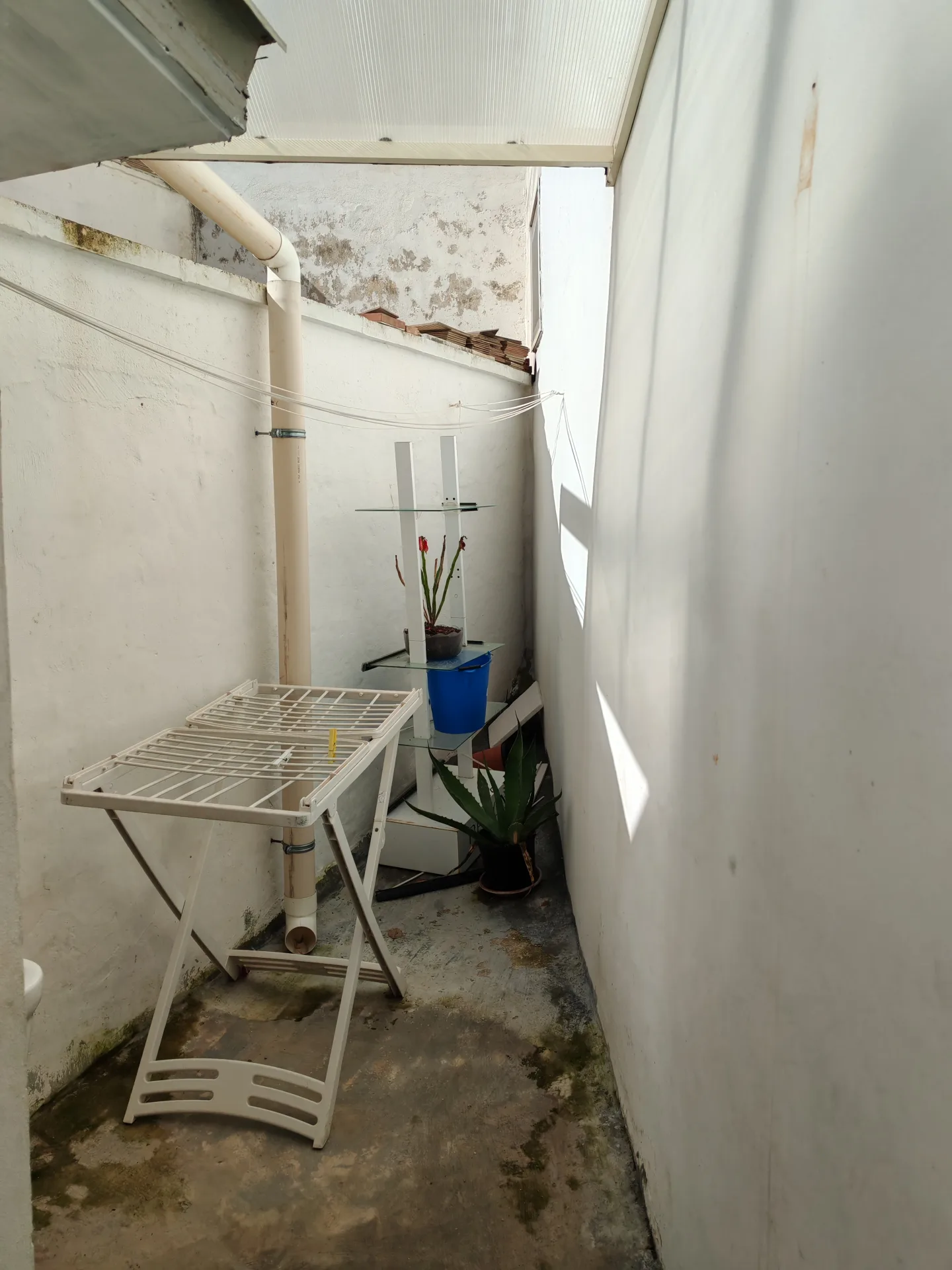 Trilocale a piano terra — Foto 15 di 15