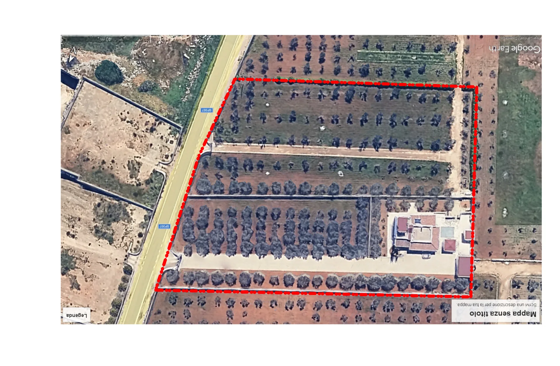 Villa indipendente con uliveto e 8.000 mq di terreno — Foto 15 di 15