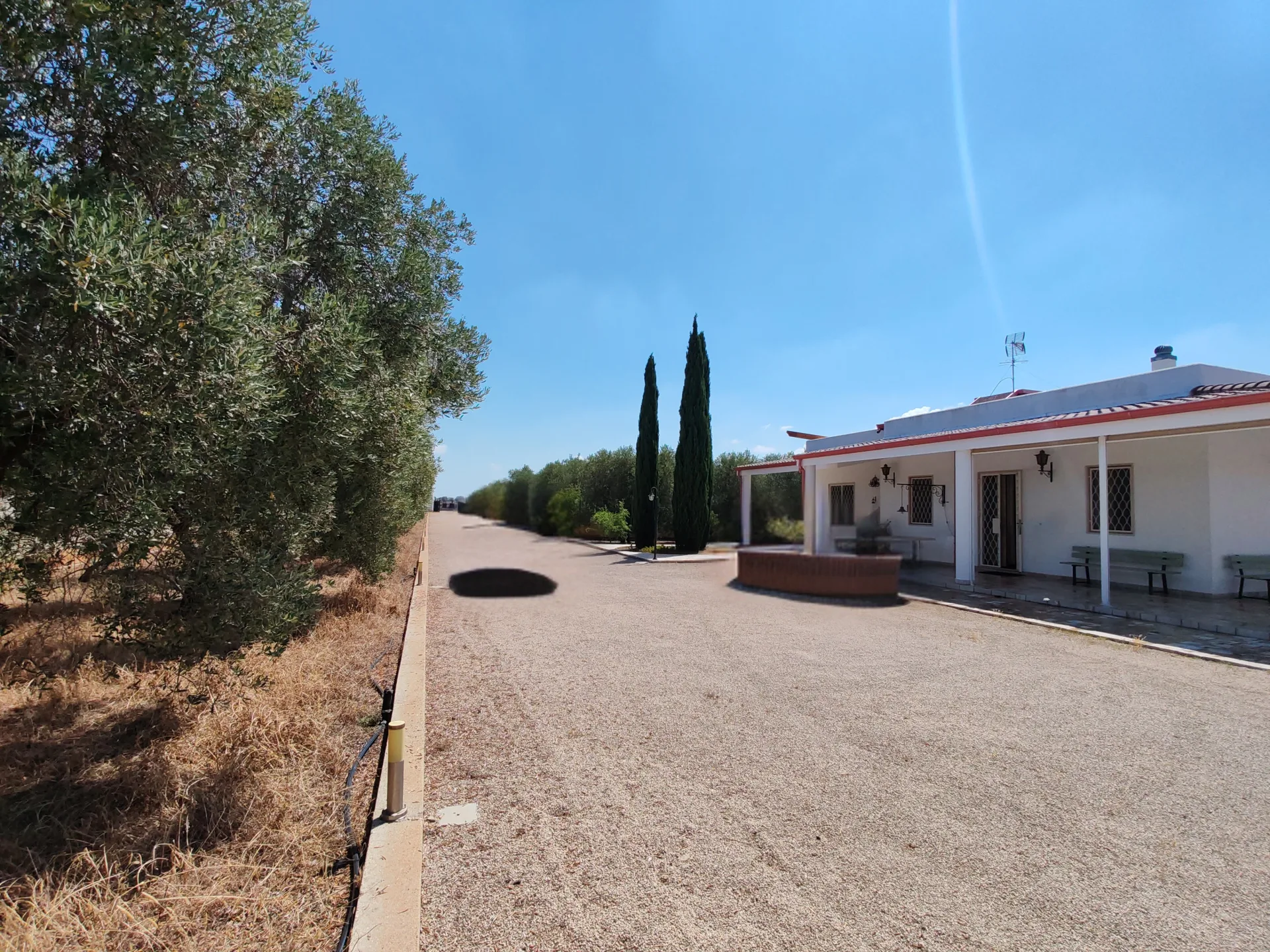 Villa indipendente con uliveto e 8.000 mq di terreno — Foto 3 di 15