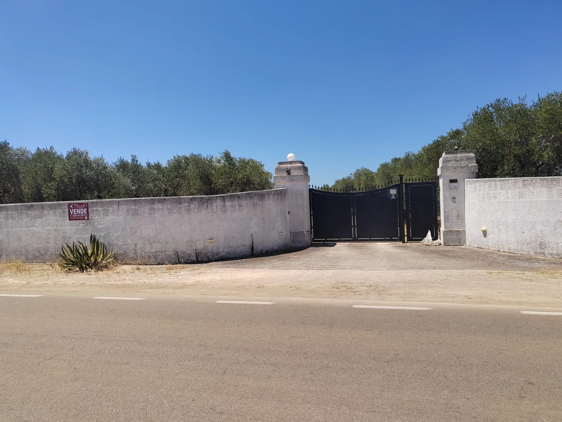 Villa indipendente con uliveto e 8.000 mq di terreno — Foto 13 di 15