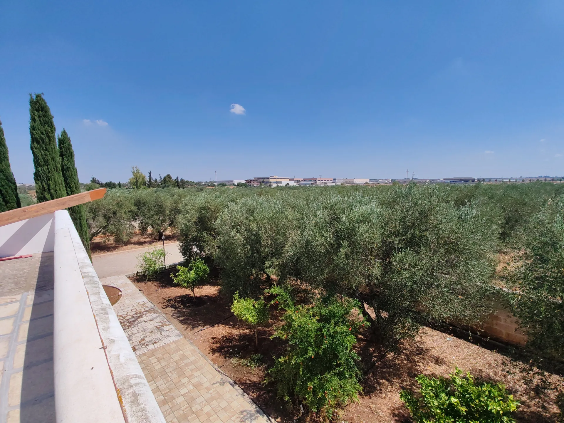 Villa indipendente con uliveto e 8.000 mq di terreno — Foto 12 di 15